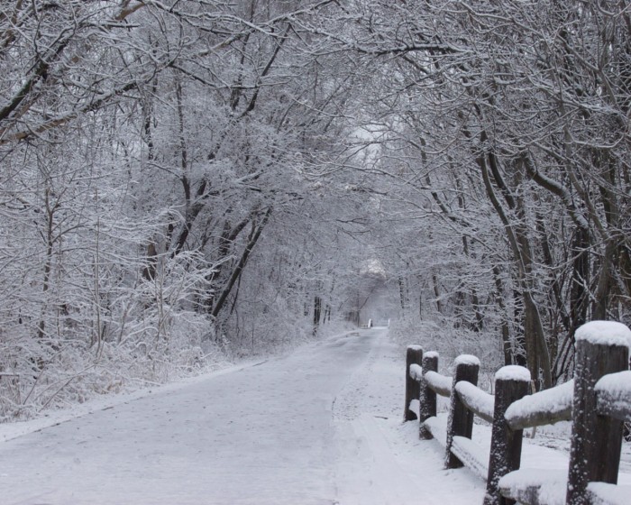 snow (1).jpg (363 KB)